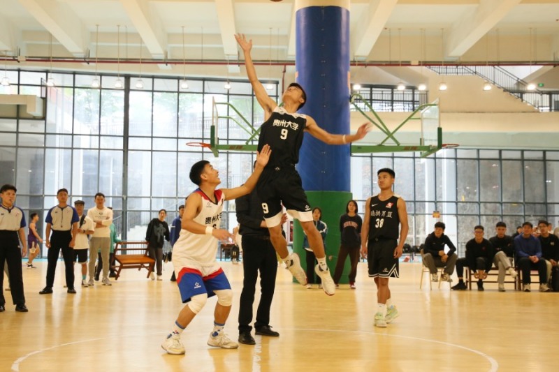 乐球体育赛事资讯平台