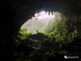 乐球体育加速节点