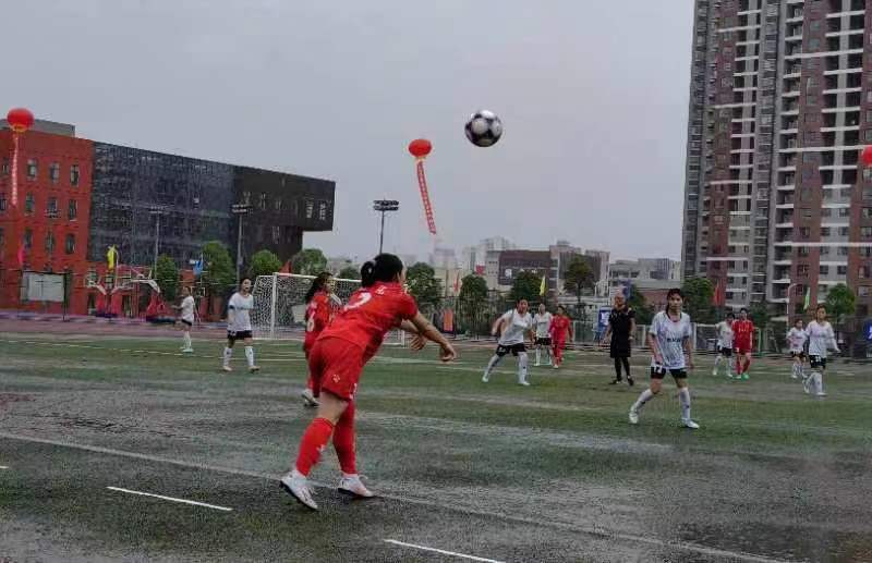 乐球体育直播