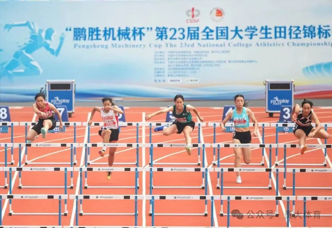 乐球体育客户端