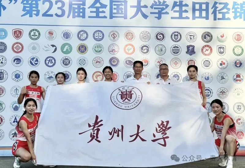 乐球体育官方线路