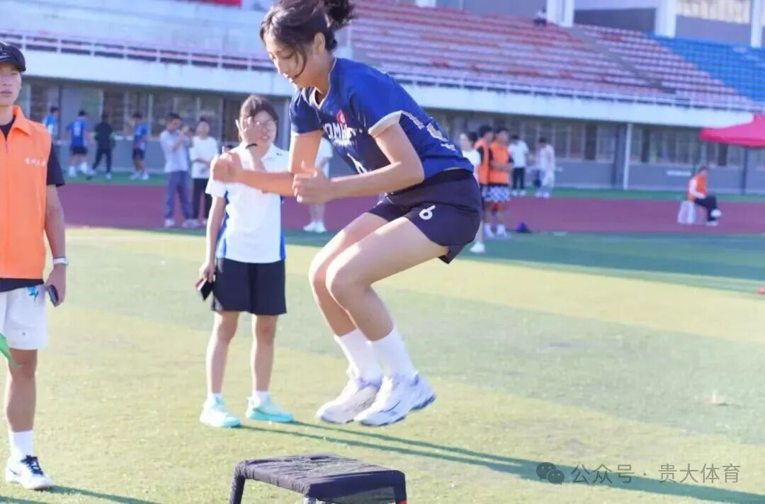 乐球体育加速节点