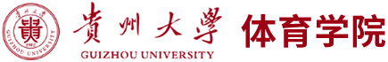 乐球体育官方线路